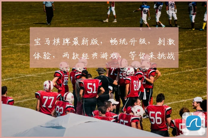 宝马棋牌最新版，畅玩升级，刺激体验，两款经典游戏，等你来挑战，趣味无限