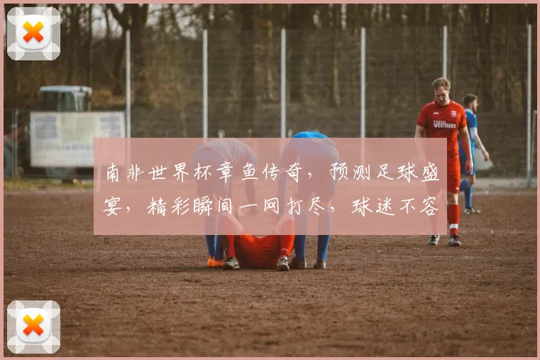 南非世界杯章鱼传奇，预测足球盛宴，精彩瞬间一网打尽，球迷不容错过