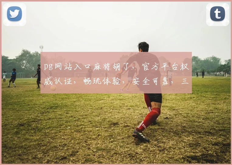 pg网站入口麻将胡了，官方平台权威认证，畅玩体验，安全可靠，三重保障，尽享乐趣