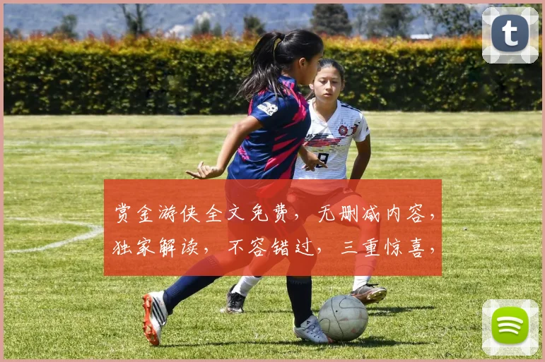 赏金游侠全文免费，无删减内容，独家解读，不容错过，三重惊喜，等你来阅