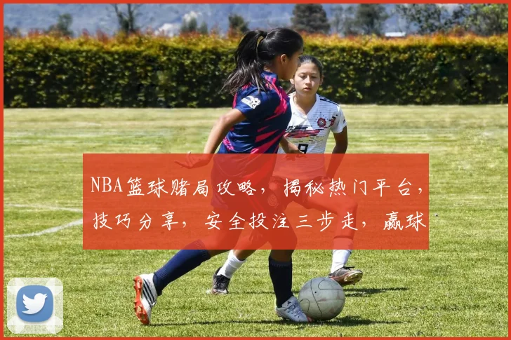 NBA篮球赌局攻略，揭秘热门平台，技巧分享，安全投注三步走，赢球赢钱
