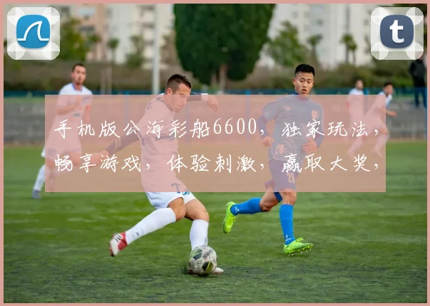 手机版公海彩船6600，独家玩法，畅享游戏，体验刺激，赢取大奖，不容错过，尽在指尖