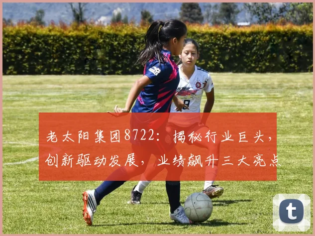 老太阳集团8722：揭秘行业巨头，创新驱动发展，业绩飙升三大亮点，不容错过