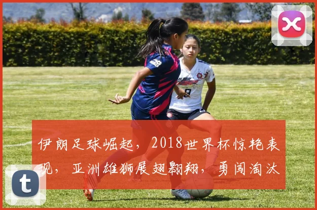 伊朗足球崛起，2018世界杯惊艳表现，亚洲雄狮展翅翱翔，勇闯淘汰赛